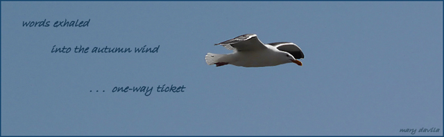 one way ticket