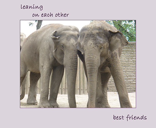 bestfriends