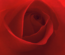 St. Valentines Day