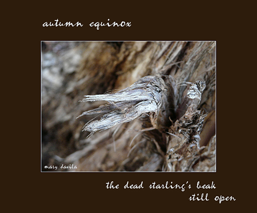 autumn equinox