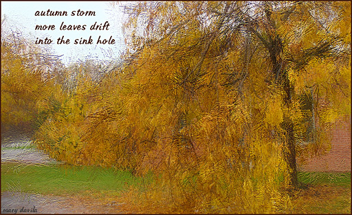 autumn storm