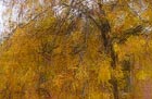 autumn storm