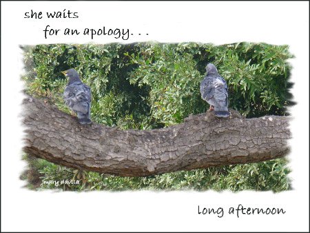 apology