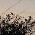 twilight