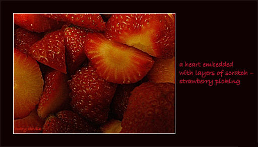 strawberries