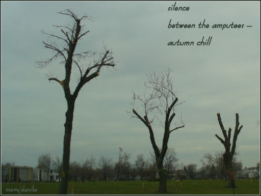 autumn chill