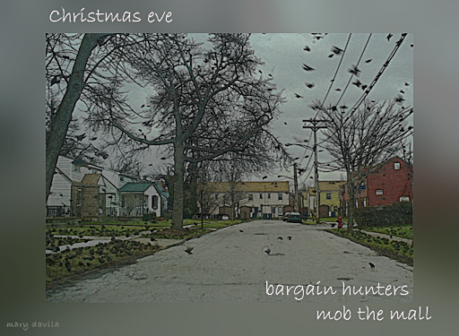christmas eve, mob of birds on lawn