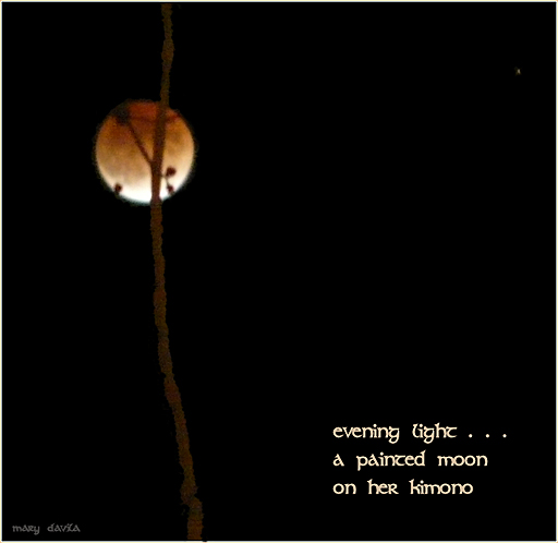 evening light - moon eclipse 