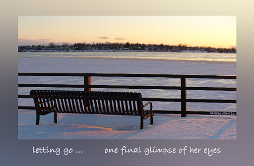 twilight snow with lone bench
