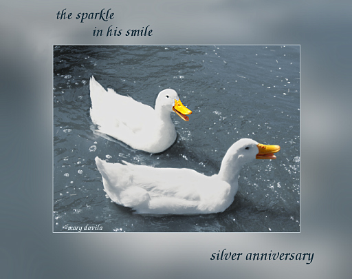 silver anniversary