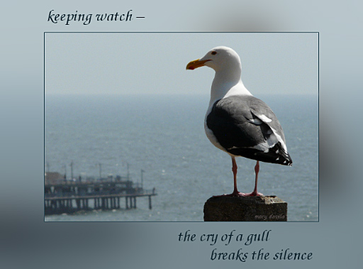 keeping watch