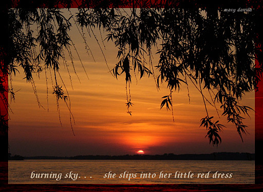 burning sky - sunset