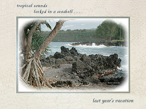 tropicalsounds