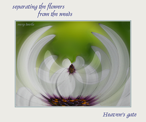 Heavens's Gate