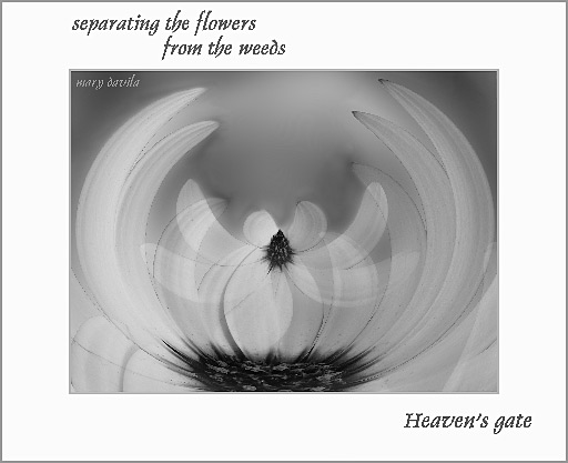 Heaven's Gate in black and white
