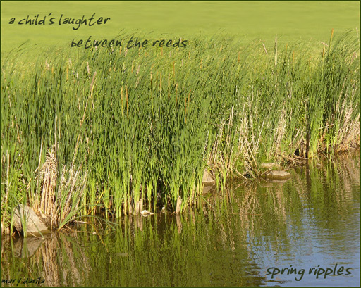 spring ripples