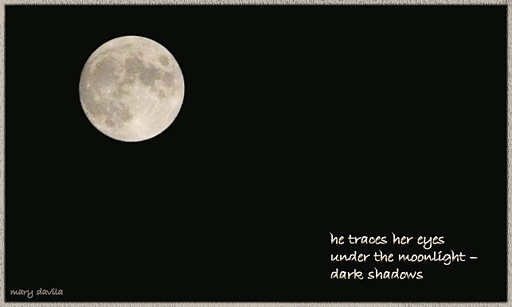 dark shadows under the moonlight