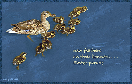 duck and ducklings