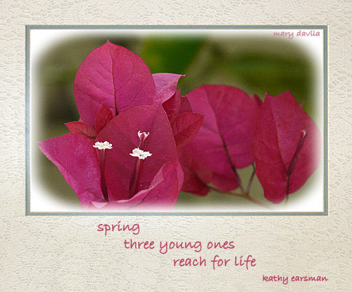 reach for life