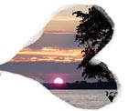 harmonious love