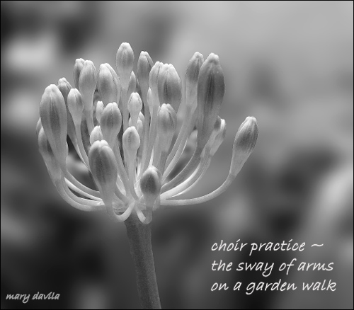 Choir Practice in black and white