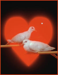 heart